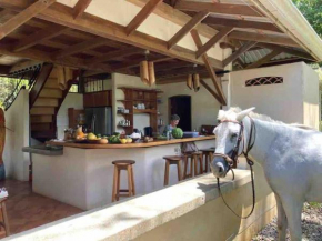House near Corcovado park in a private natural reserve